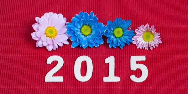 Aromaterapia em 2015: aposte na energia das plantas para um ano mais saudável e equilibrado