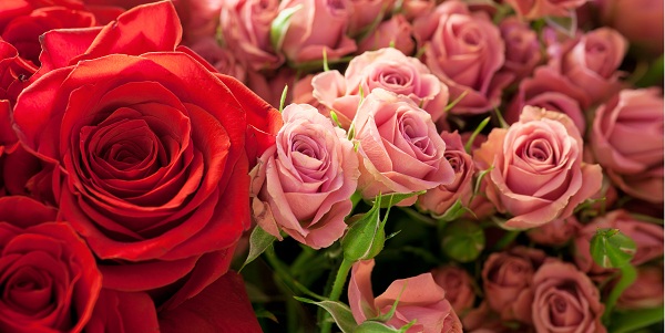 Faça o amuleto do amor e se apaixone novamente