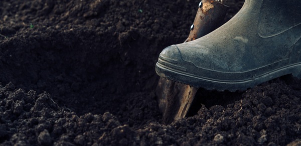 Descubra o significado de sonhar com buraco