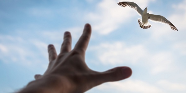 Entenda os diferentes tipos de terapia espiritual e como cada uma funciona