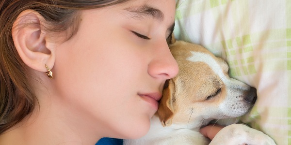 O que significa sonhar com cachorro?