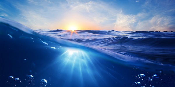 Previsão dos signos do elemento água para o ano de 2015