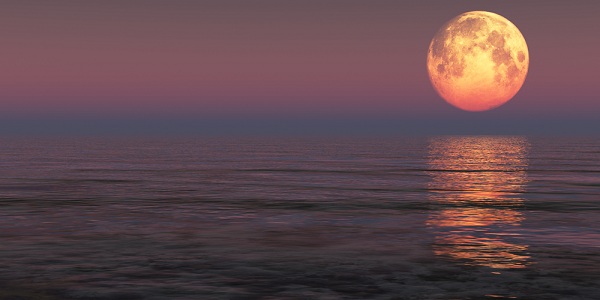 Qual a influência da Lua Cheia nas nossas vidas?