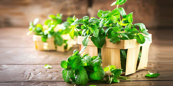 Simpatias para o ano novo – Atraia amor, dinheiro e saúde para 2018