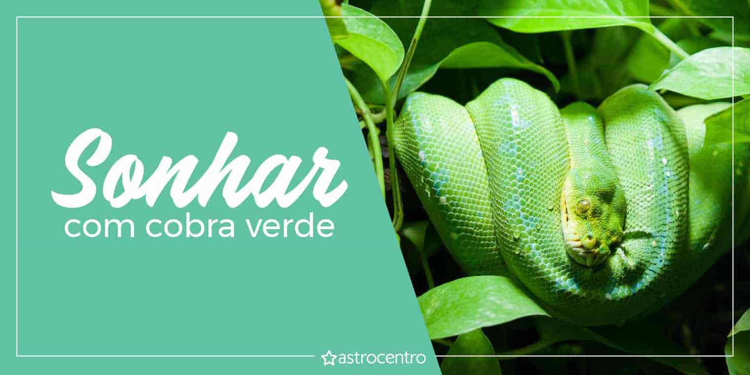 Sonhar com cobra verde – Descubra todos os seus significados