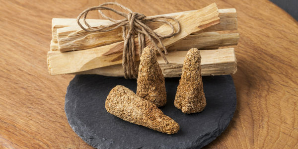 Tudo sobre o Palo Santo