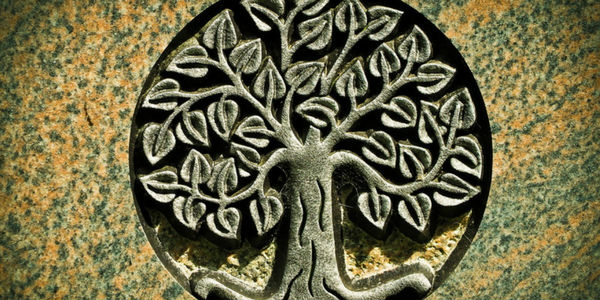 Conheça o significado da árvore da vida e todos os seus valores