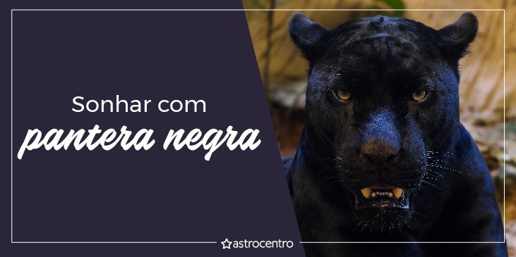 sonhar com pantera negra