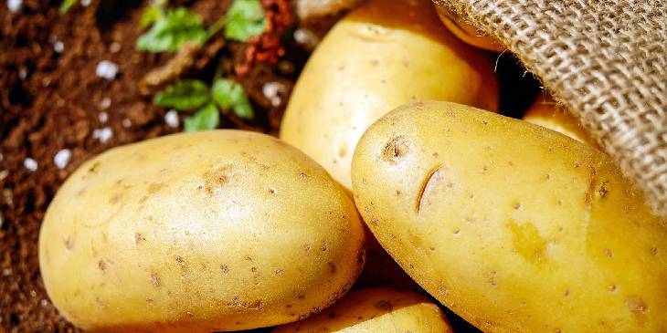 O que significa sonhar com batatas? Confira as mais diferentes interpretações