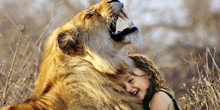 Animais de poder do xamanismo