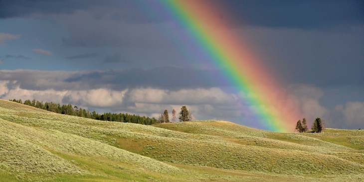 Sonhar com arco íris: uma passagem que traz boas notícias