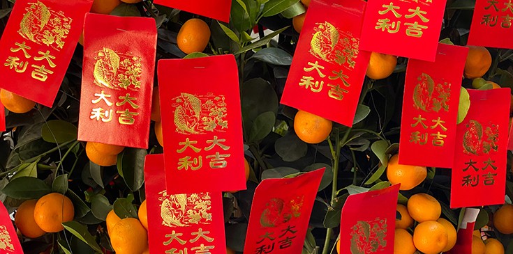 animal do ano novo chinês de 2021