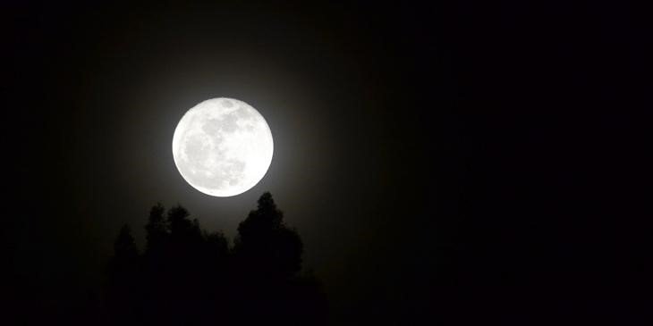 Saiba TUDO sobre o calendário de 2021 com fases da Lua!