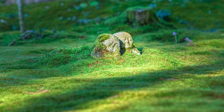 Pachamama: Um mito de paixão e tragédia da mãe terra inca