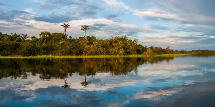 Seres elementais da natureza