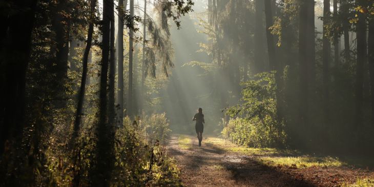 6 Formas de se conectar com a natureza