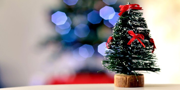 Dia de montar a árvore de natal, saiba como montar sua tradição🌲 Dia de montar a árvore de natal, saiba como montar sua tradição🌲