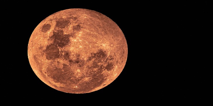 Vênus: O Planeta em Destaque em sua Retrogradação, por Fabiola Fretz