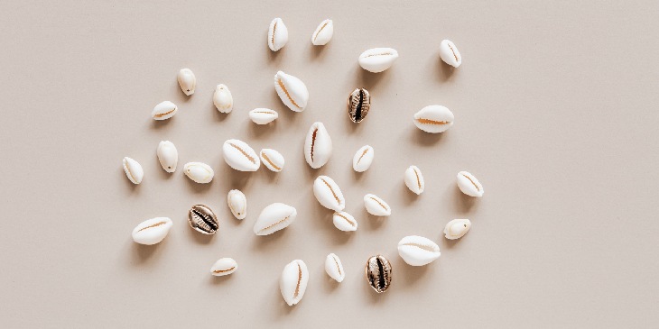 Entenda como funcionam os Búzios e como se consultar online!