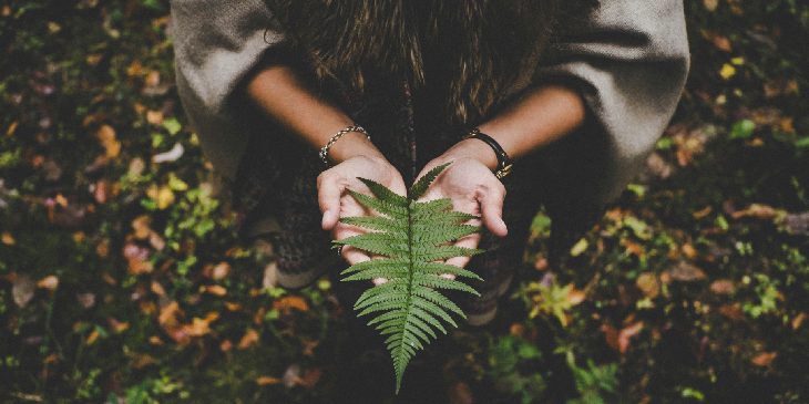 Dia do Meio Ambiente: Celebre a força da natureza!