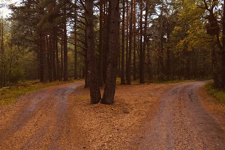 A imagem mostra duas opções de estrada em um bosque