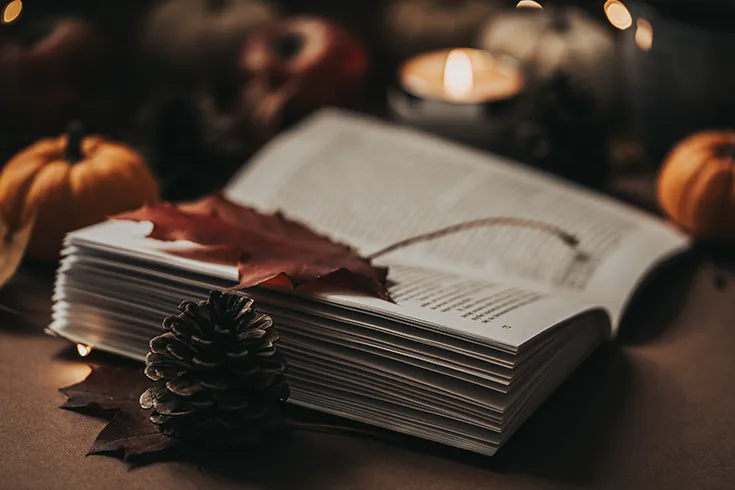 Livro antigo, aberto, com elementos naturais